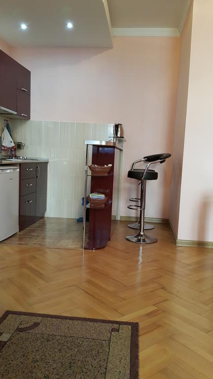 Apartment On Rustaveli Avenue ティビリシ 部屋 写真