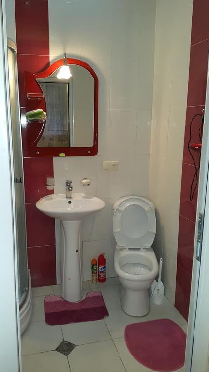 Apartment On Rustaveli Avenue ティビリシ 部屋 写真