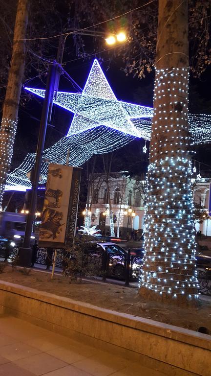 Apartment On Rustaveli Avenue ティビリシ エクステリア 写真